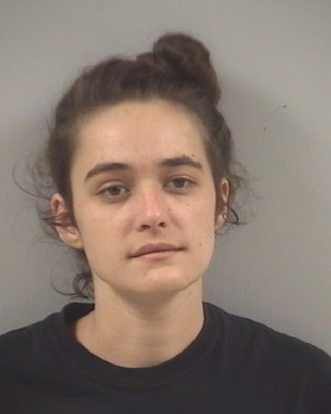 Johnston County NC Arrests 